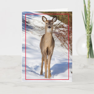 Niedliches Hirsch im Schnee Feiertagskarte