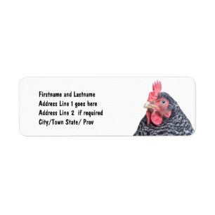 Niedliches Huhn-Foto kundengebundene Adresse