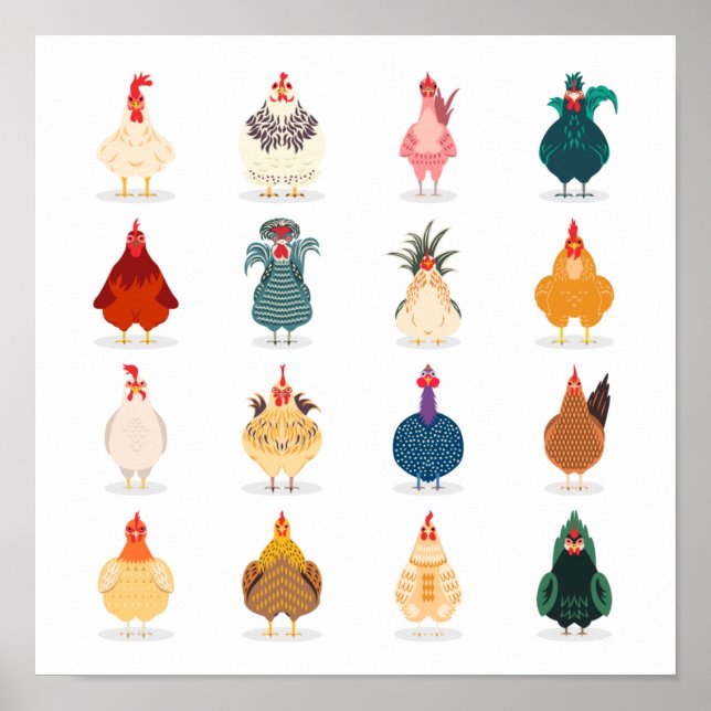 Niedliches Huhn Poster (Vorne)