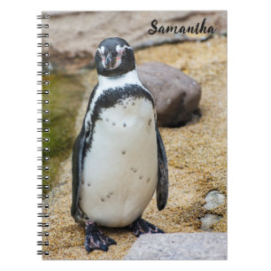 Niedliches Humboldt-Pinguin-Spiralnotebook Notizblock