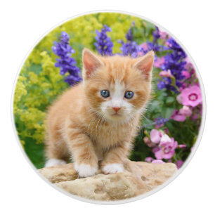 Niedliches Ingwer-Katzen-Kätzchen in den Blumen - Keramikknauf