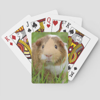 Niedliches inländisches Meerschweinchen Spielkarten