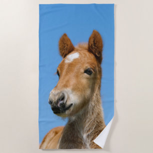 Niedliches isländisches Pferdfoal Pony Head Front Strandtuch