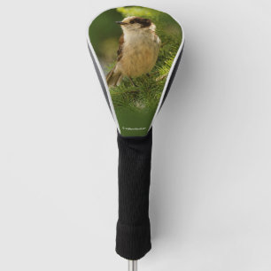 Niedliches Kanada Grau / Grau Jay / Whiskeyjack Golf Headcover