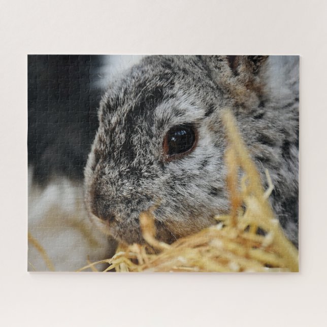 Niedliches Kaninchen, Puzzle (Horizontal)
