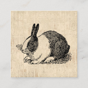 Niedliches Kaninchen Vintage Tierart Begleitkarte