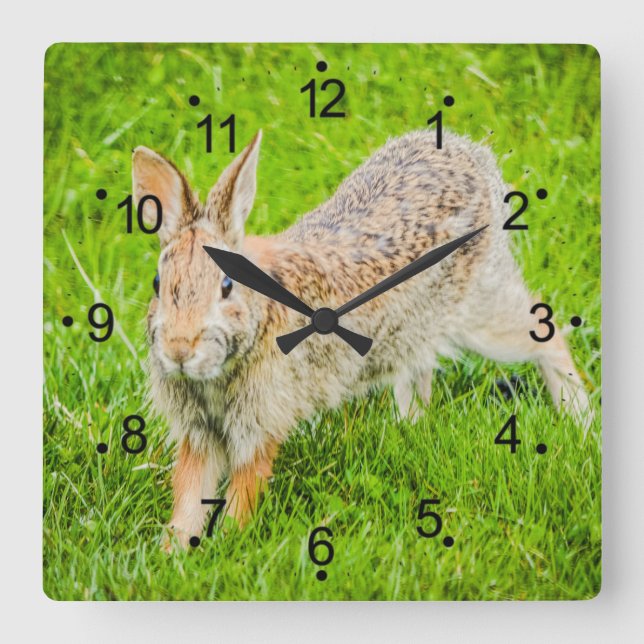 Niedliches Kaninchen Wildtiere - Uhr (Vorderseite)