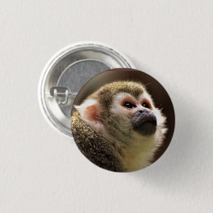 Niedliches Kapuzineraffenkreuz Button