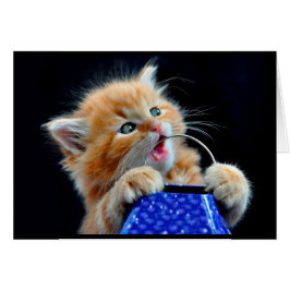 Niedliches Kätzchen.