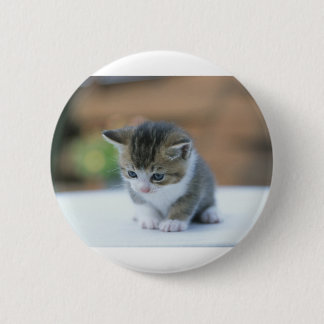 Niedliches Kätzchen Button