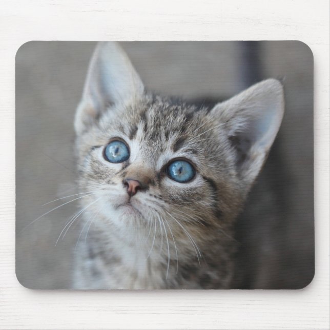 Niedliches Kätzchen im Garten Mousepad (Vorne)