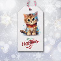 Niedliches Kätzchen im Urlaubsleben gepackt