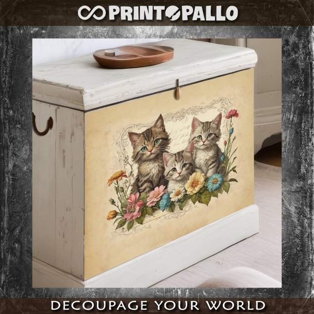 Niedliches Kätzchen in Blume - Seidenpapier (Von Creator hochgeladen)