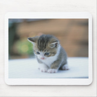 Niedliches Kätzchen Mousepad