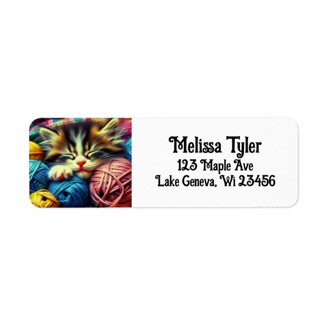 Niedliches Kätzchen Schlafen unter einer Decke Per (Vorne)