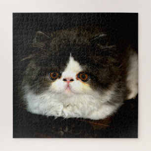 Niedliches Kätzchen, schwarz und weiß Puzzle