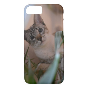 Niedliches Katzen-Foto-Porträt Case-Mate iPhone Hülle
