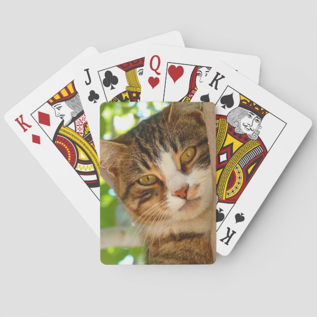 Niedliches Katzen Klettern Spielkarten (Rückseite)