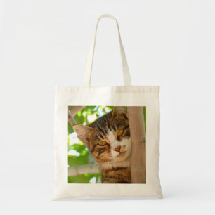 Niedliches Katzen Klettern Tragetasche
