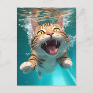 Niedliches Katzen Tauchen Unterwasser im Pool Funn Postkarte