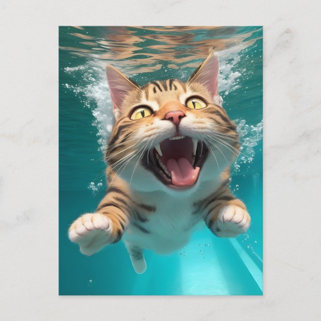 Niedliches Katzen Tauchen Unterwasser im Pool Funn Postkarte (Vorderseite)