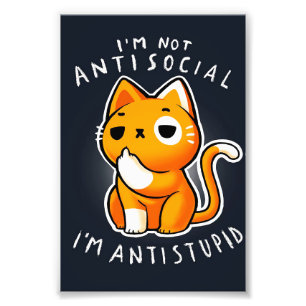 Niedliches Katzengeschenk Katze zum Geburtstag Fotodruck