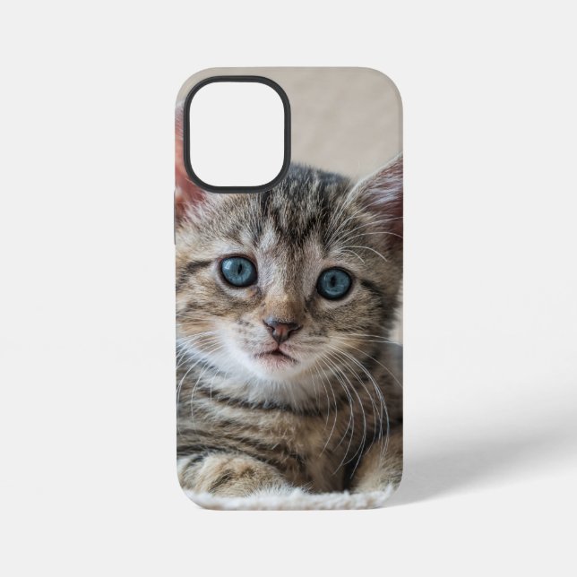 Niedliches Katzengesicht iPhone Hülle (Rückseite)
