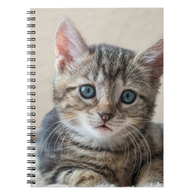 Niedliches Katzengesicht Notizblock (Vorderseite)