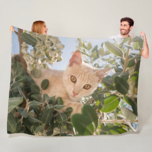 Niedliches Katzenklettern in einem Eukalyptus-Baum Fleecedecke