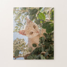 Niedliches Katzenklettern in einem Eukalyptus-Baum Puzzle