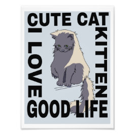 Niedliches Katzenleben Fotodruck