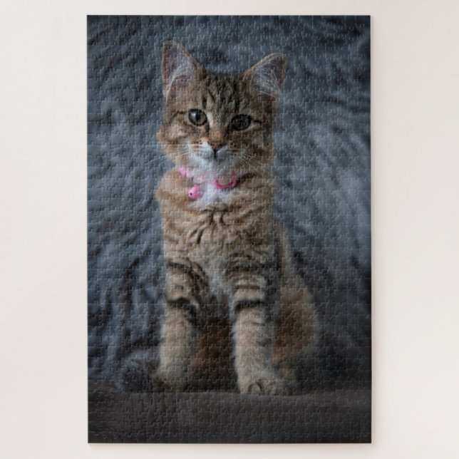 Niedliches Katzenportrait, 1014 Stück Puzzle (Vertikal)