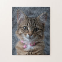 Niedliches Katzenportrait, 252 Stück Puzzle