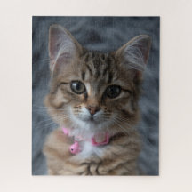 Niedliches Katzenportrait, 520 Stück