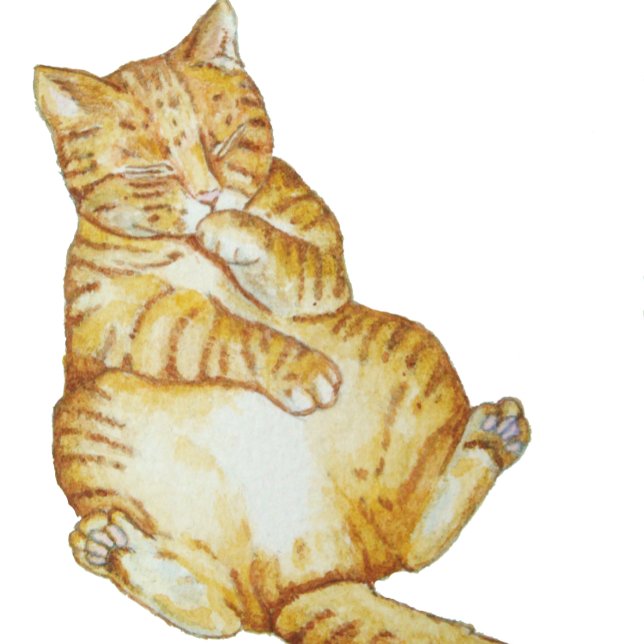 niedliches Katzenschlafginger-Kätzchendesign Schlüsselanhänger (Von Creator hochgeladen)