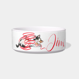 Niedliches Katzenspielen mit einer Multifunktionsl Napf