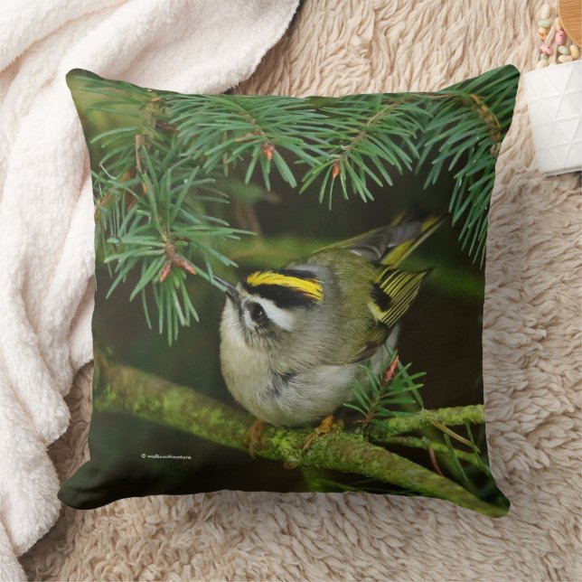 Niedliches Kinglet Songbird verursacht eine Stir i Kissen (Decke)