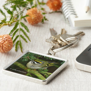 Niedliches Kinglet Songbird verursacht Stir in der Schlüsselanhänger