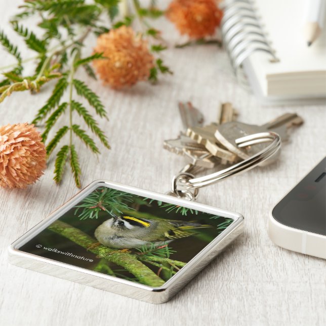 Niedliches Kinglet Songbird verursacht Stir in der Schlüsselanhänger (Seite)