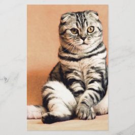 Niedliches Kitten ausgespült Briefpapier