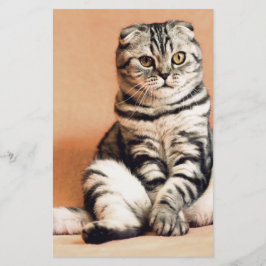 Niedliches Kitten ausgespült Briefpapier