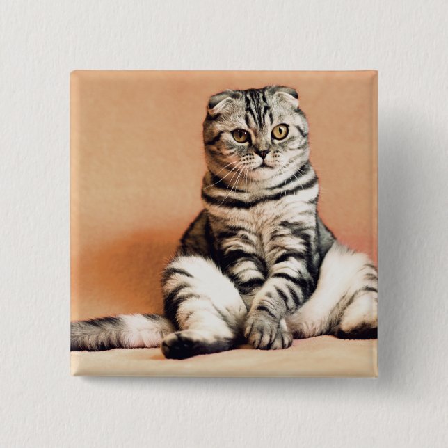 Niedliches Kitten ausgespült Button (Vorderseite)