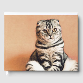 Niedliches Kitten ausgespült Gästebuch