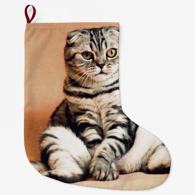 Niedliches Kitten ausgespült Großer Weihnachtsstrumpf (Vorderseite)