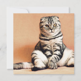 Niedliches Kitten ausgespült Karte