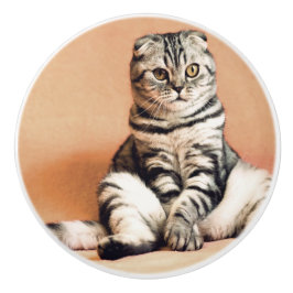 Niedliches Kitten ausgespült Keramikknauf