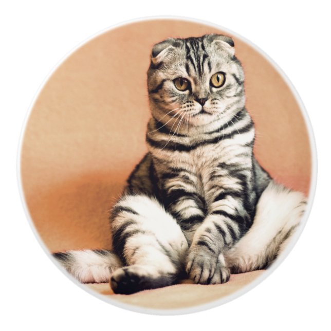 Niedliches Kitten ausgespült Keramikknauf (Vorderseite)