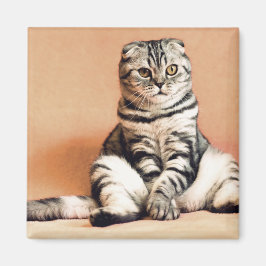 Niedliches Kitten ausgespült Magnet