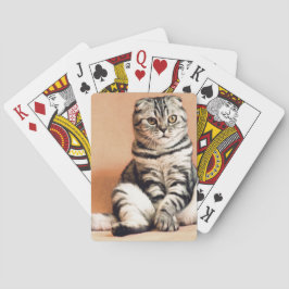 Niedliches Kitten ausgespült Spielkarten