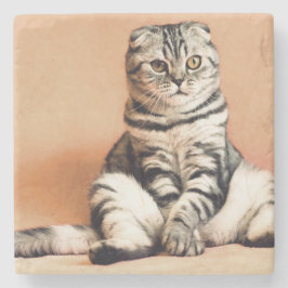 Niedliches Kitten ausgespült Steinuntersetzer